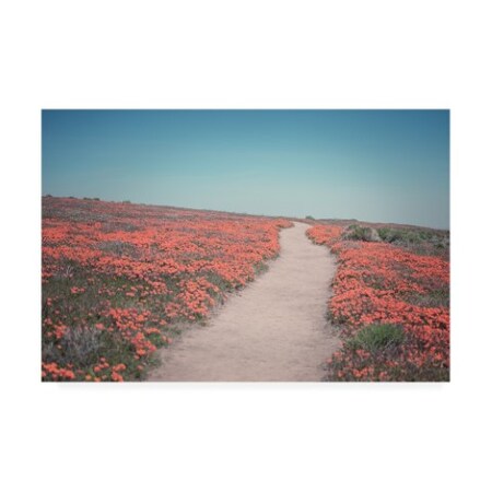 Trademark Fine Art Elizabeth Urquhart 'California Blooms IV' Canvas Art, 30x47 WAP12247-C3047GG